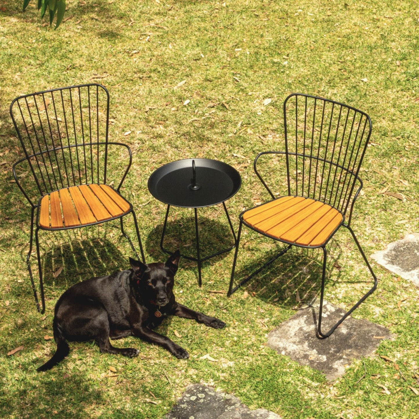 Black dog lying near patio furniture.