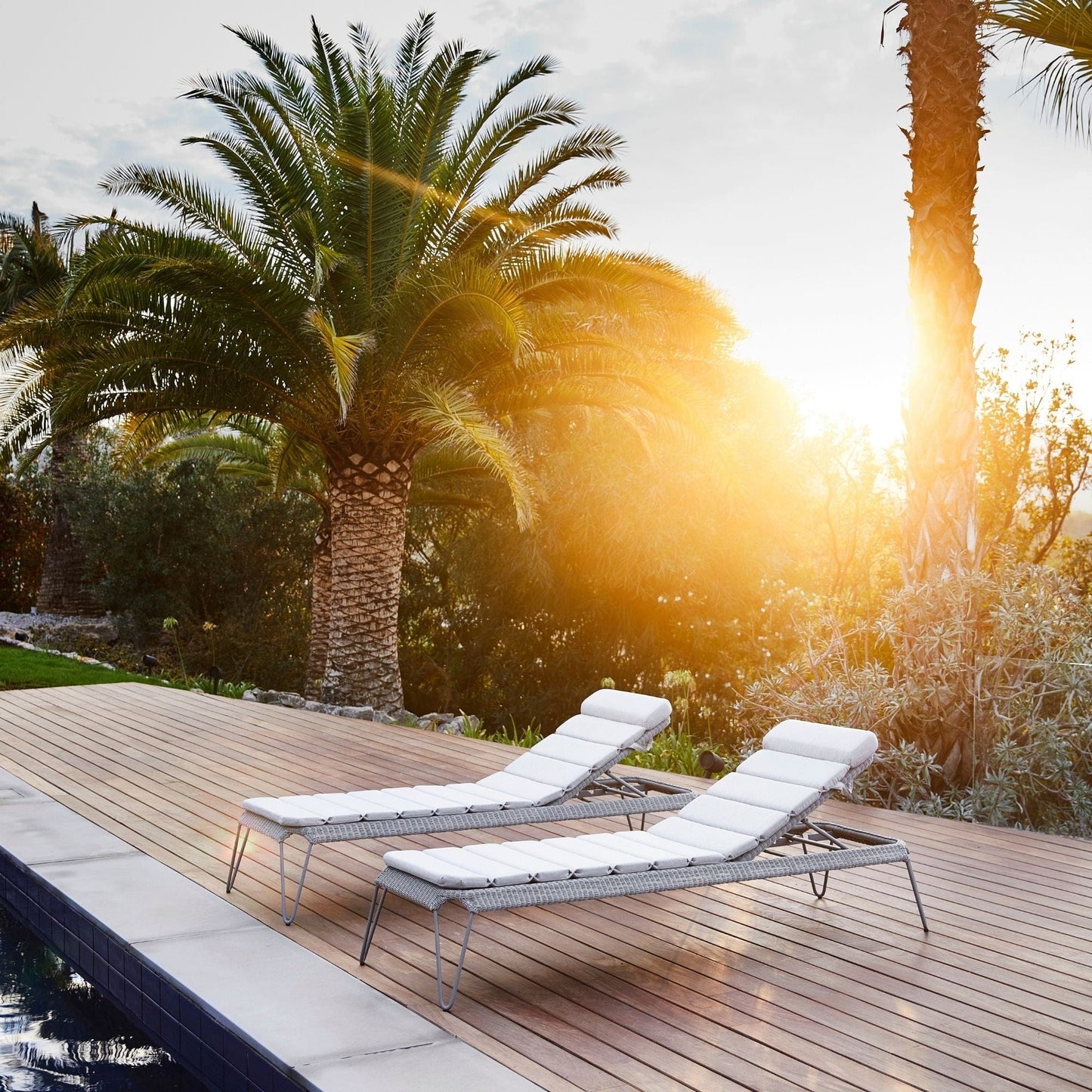 5569LI_2 - Two outdoor lounge chairs by pool, palm trees, sunshine