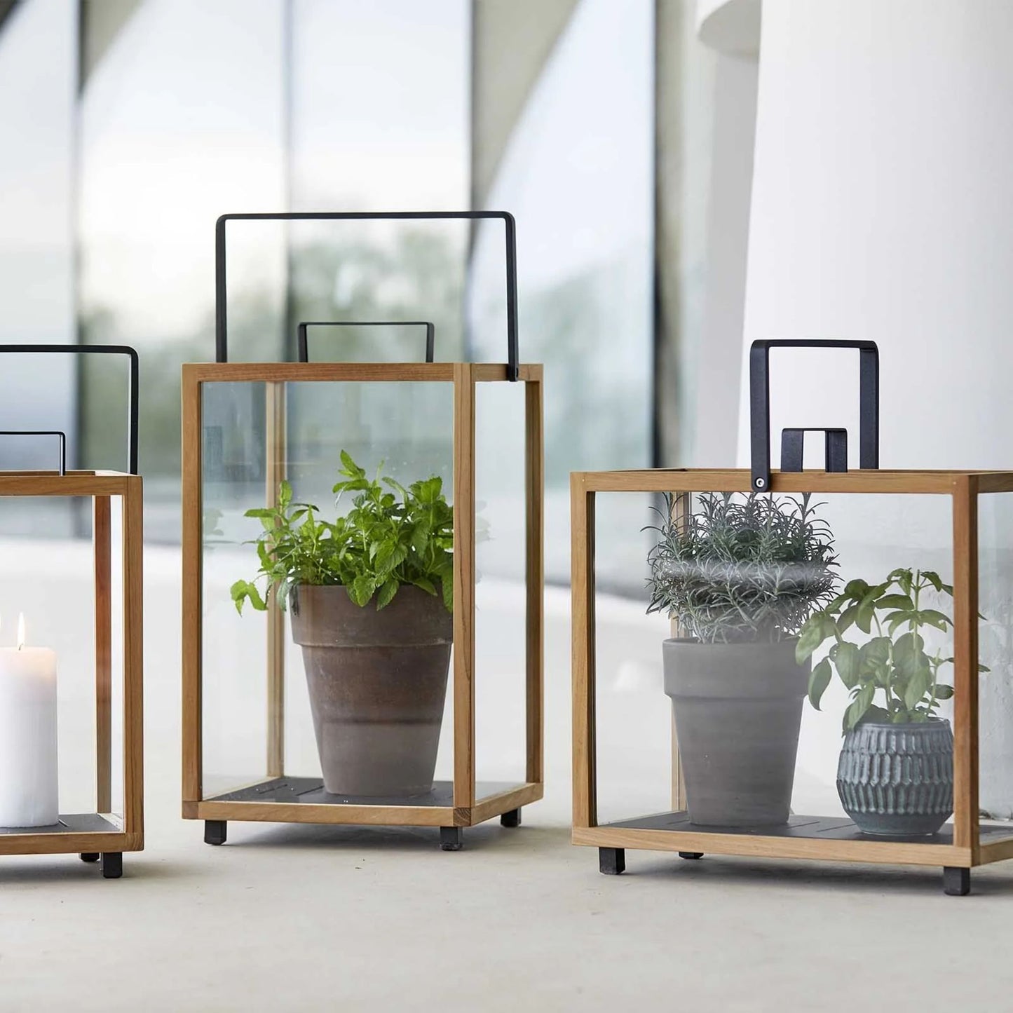 5726TAL_2 Decorative Lanterns with Plants