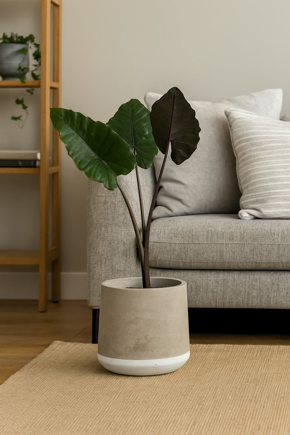 Concrete Planter Large White Band