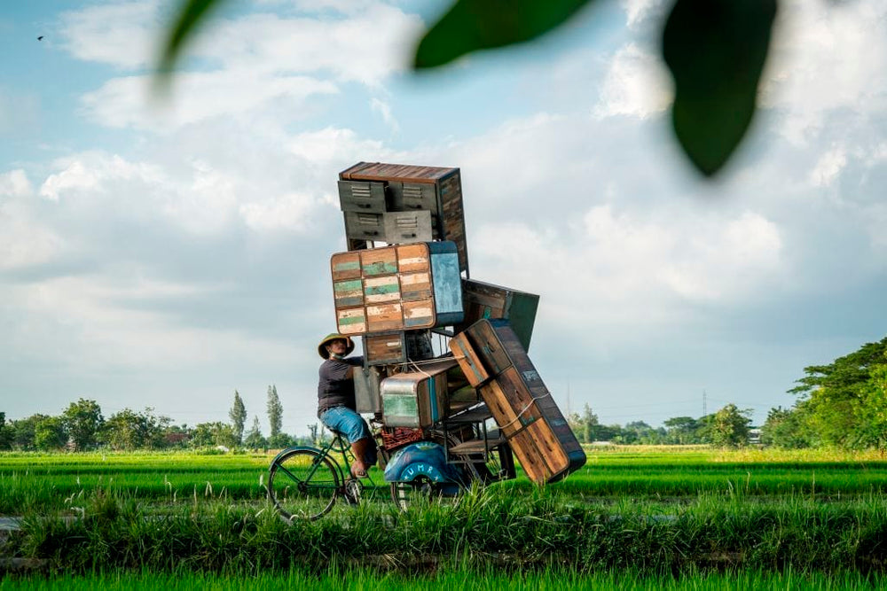 Man on bike carrying stacked boxes across rice field.