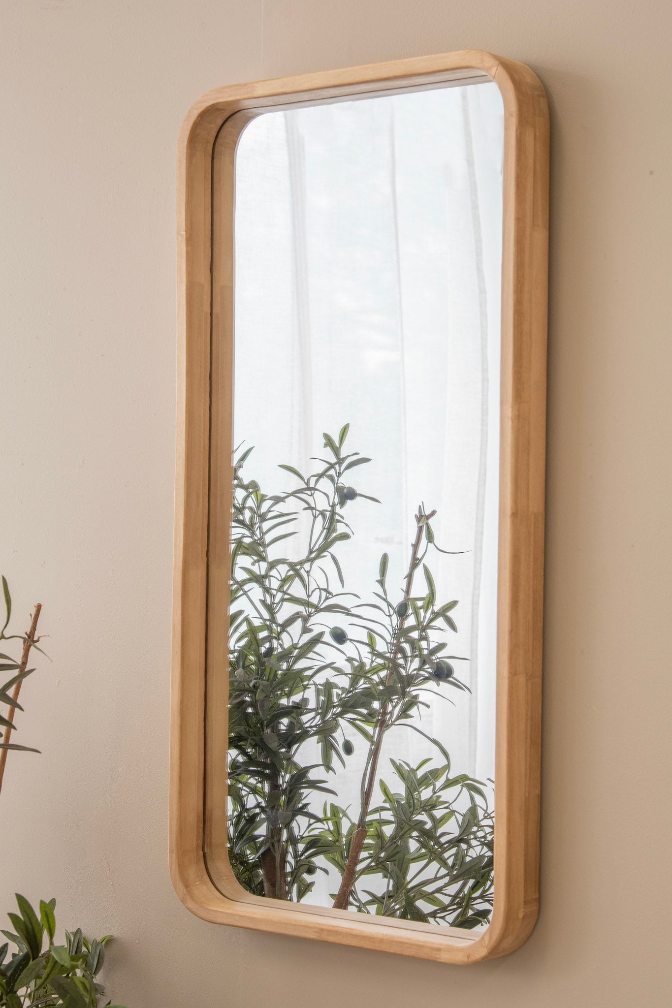Wooden framed mirror with plant reflection