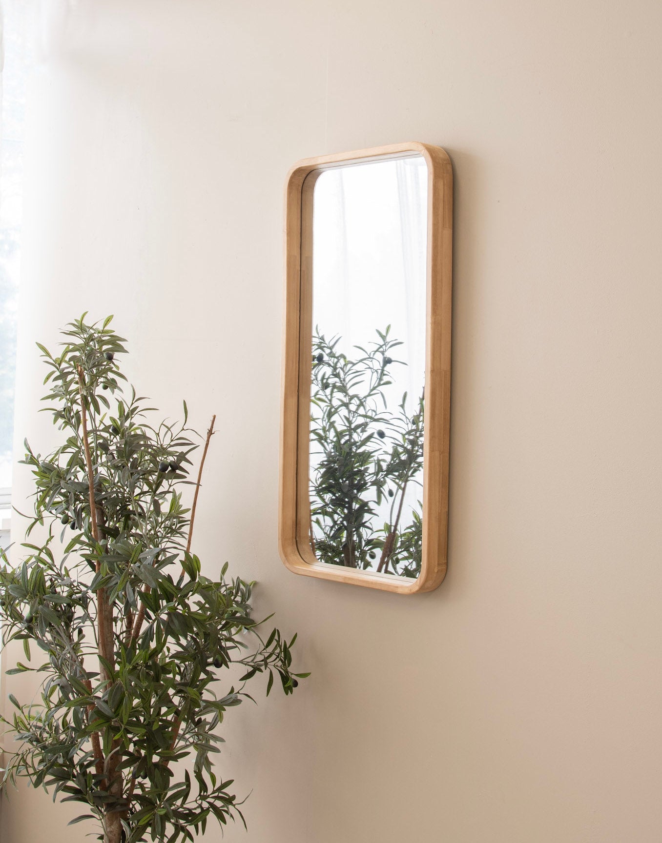Wooden framed mirror with plant reflection - DSC_3177