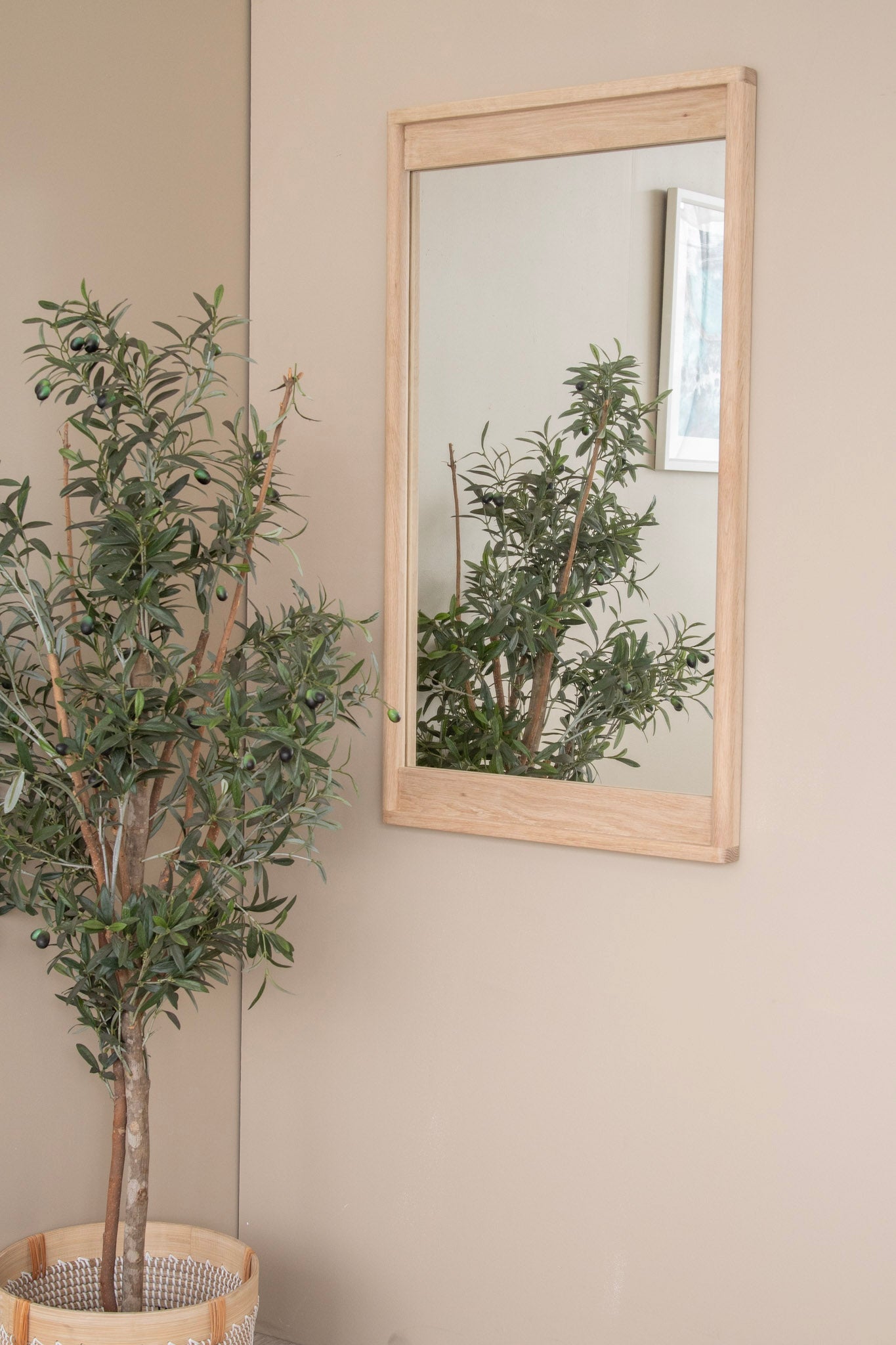 Olive tree and mirror on wall, DSC_3264