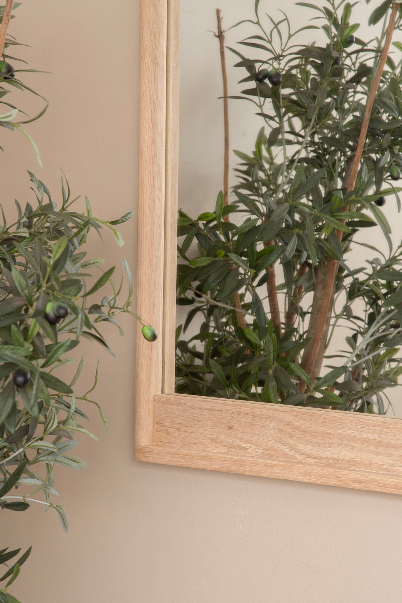 Mirror reflecting olive tree branches