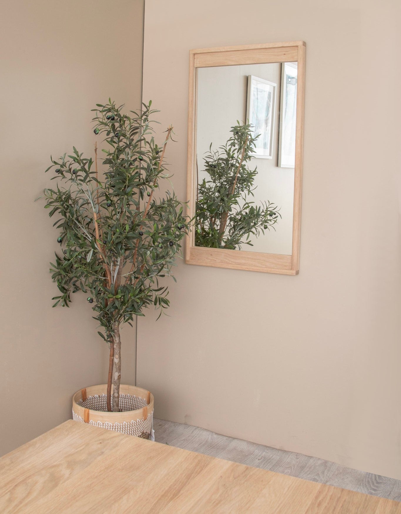 Olive tree next to mirror, DSC_3272