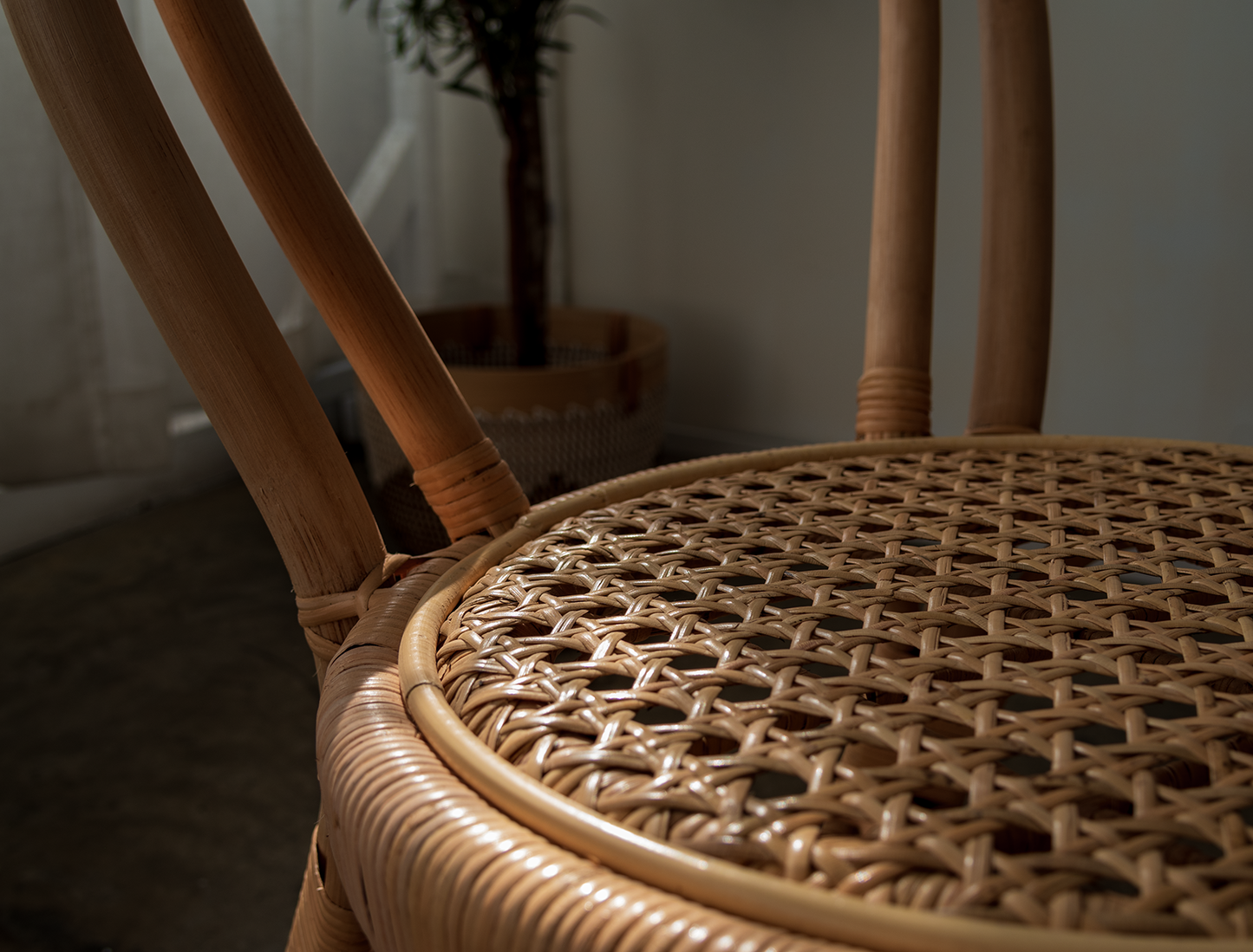Wasabi Dining Chair