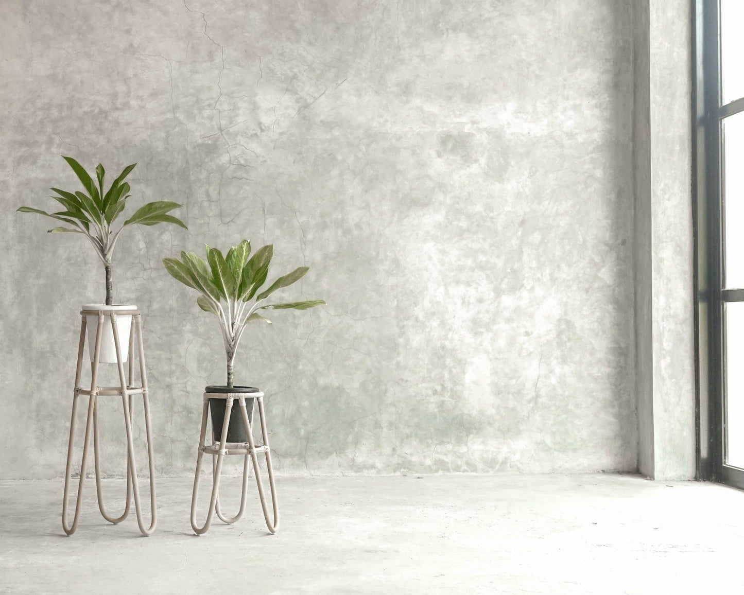 Two potted plants on stands in modern interior.
