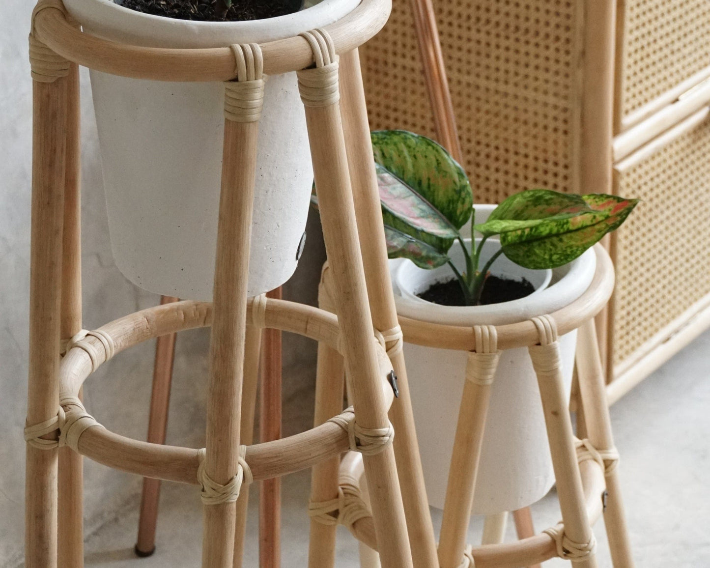 Rattan plant stand with white pots