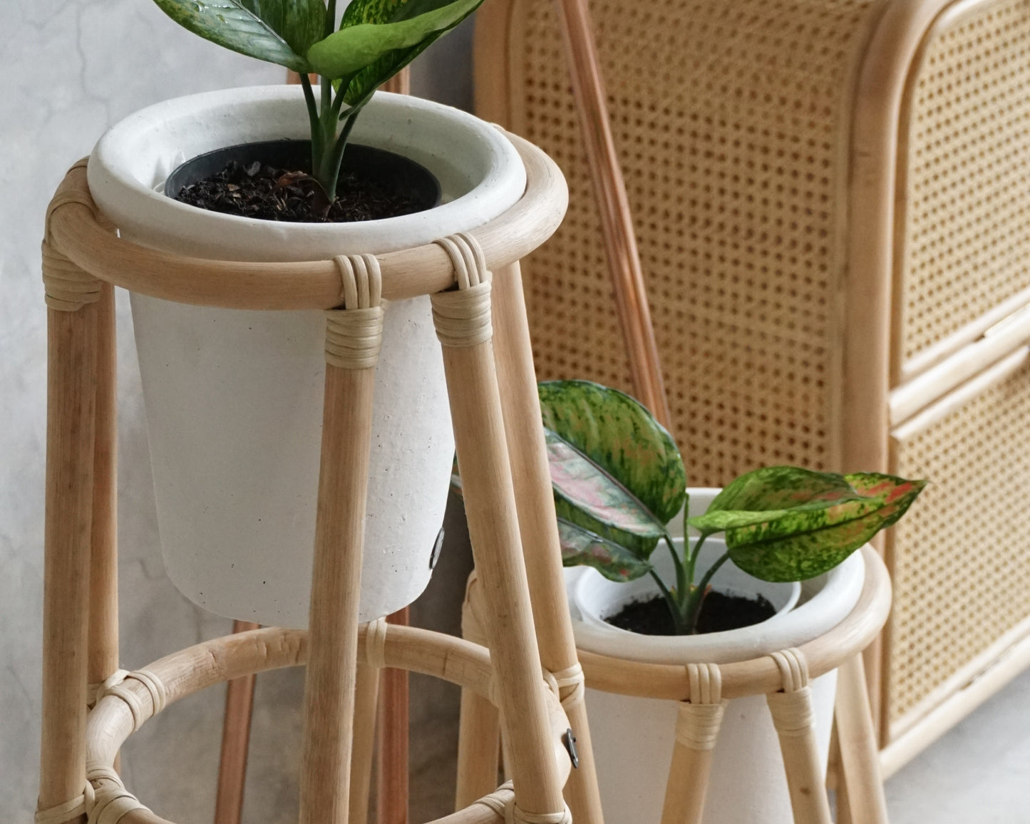 Rattan plant stands with potted plants