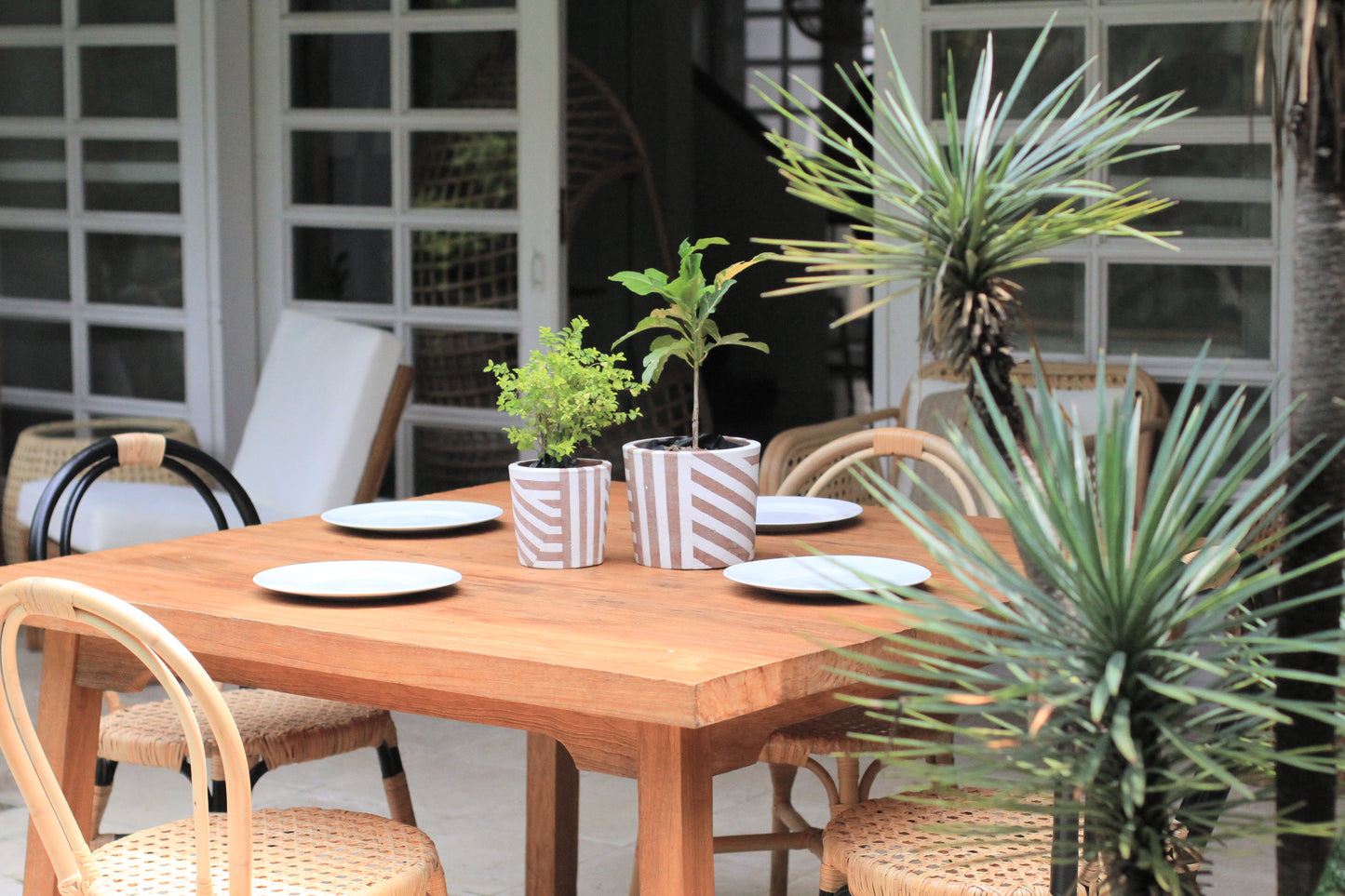 Wooden table set for dining, with potted plants.