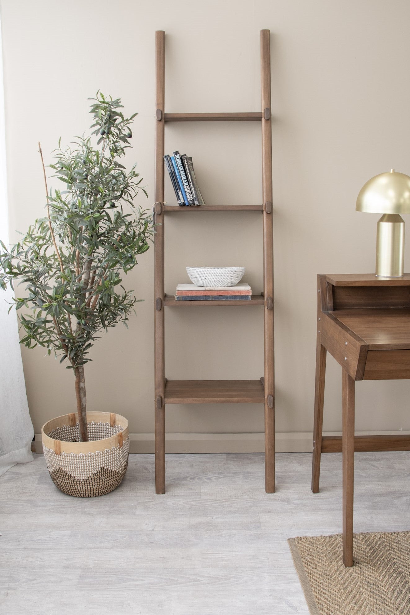 Ladder shelf with books, bowl, and plant