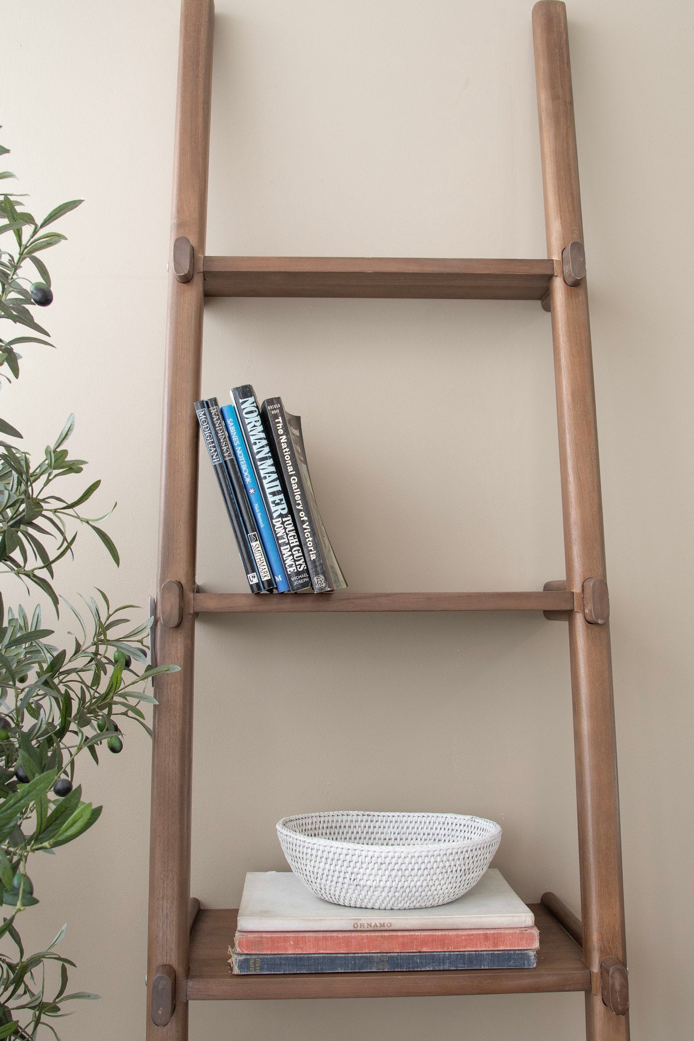 Wooden ladder shelf with books and bowl