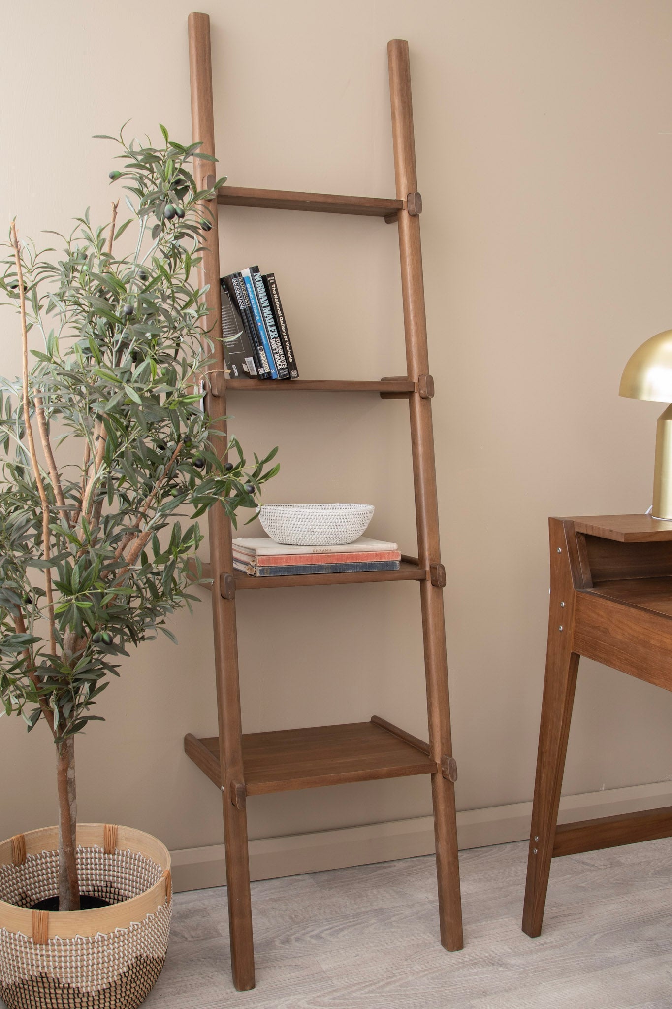 Wooden ladder shelf with books and decor