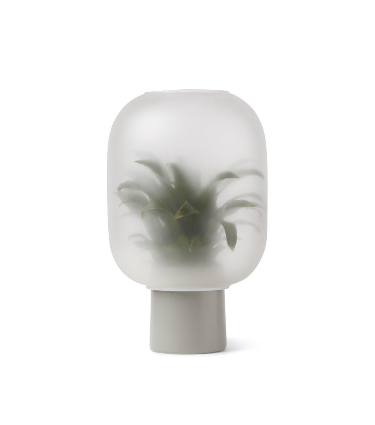 Frosted glass vase with plant inside.