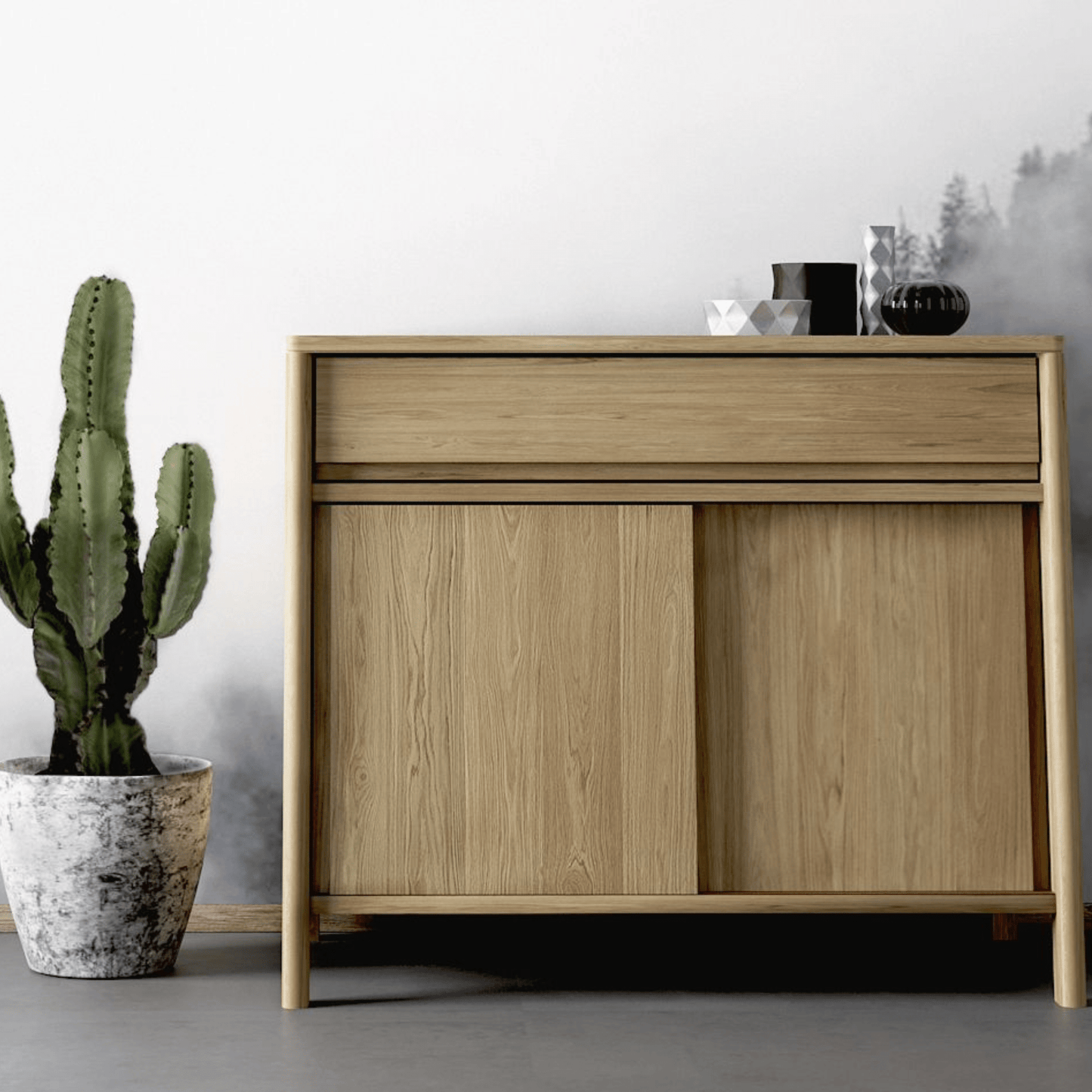 Wooden cabinet with cactus and decor.