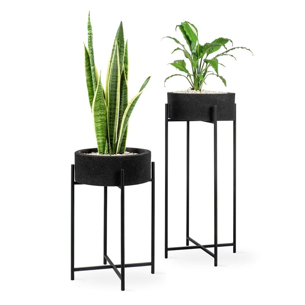 Two modern black plant stands with plants