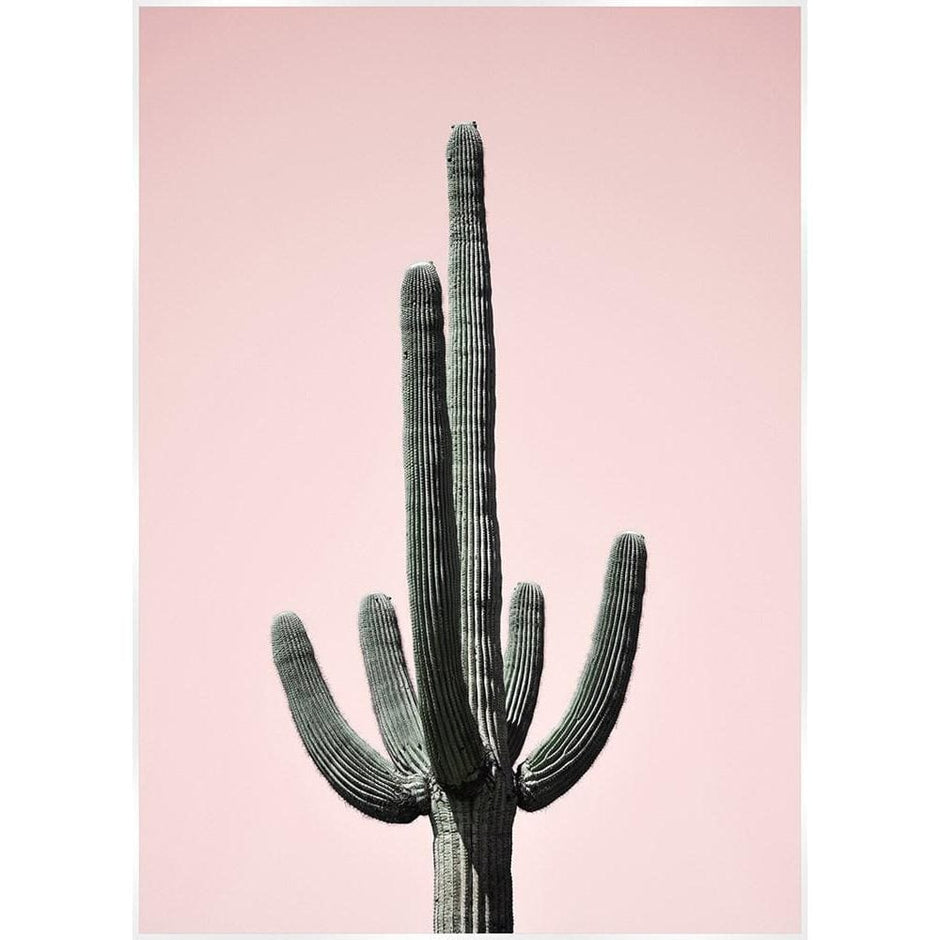 Saguaro Pink Cactus Canvas Print Artwork-Artwork-SLH-Pink-SLH AU