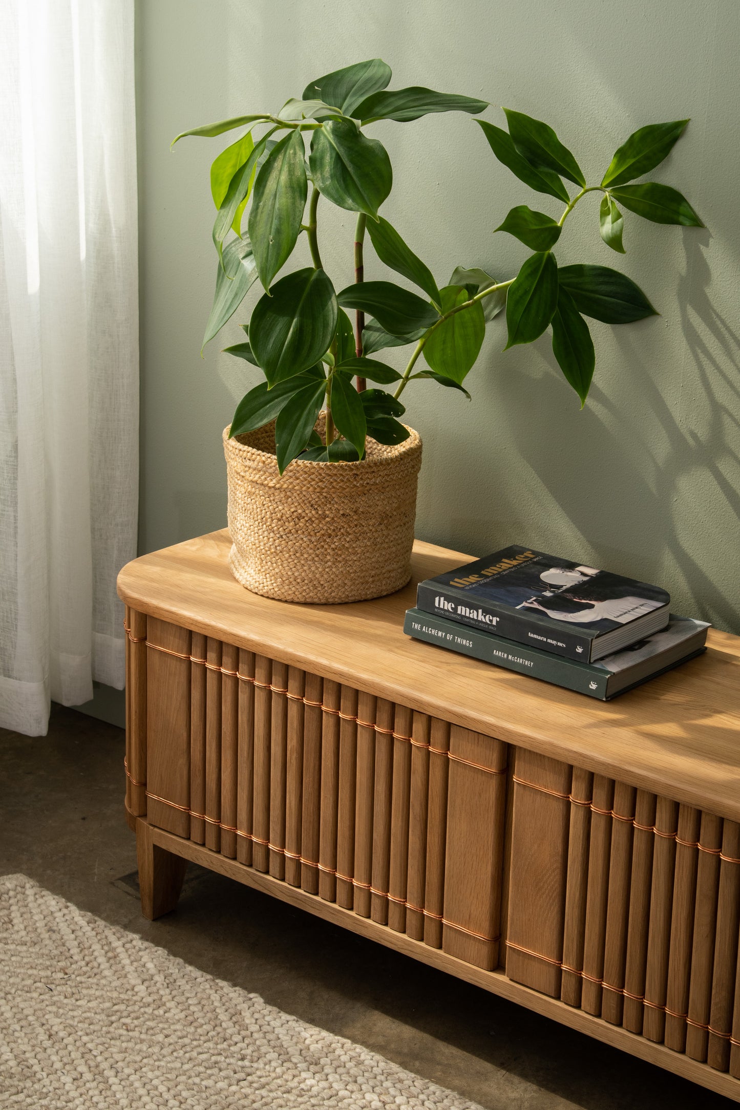 Wooden cabinet with plant and books