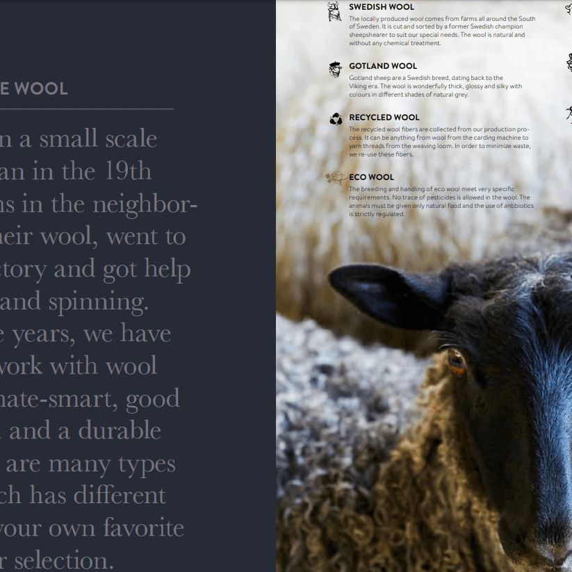 We love wool, exploring wool types.