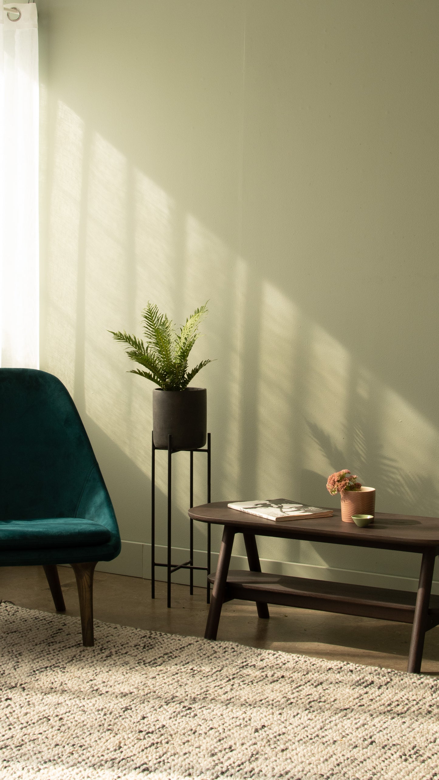 Living room with plant and dark furniture