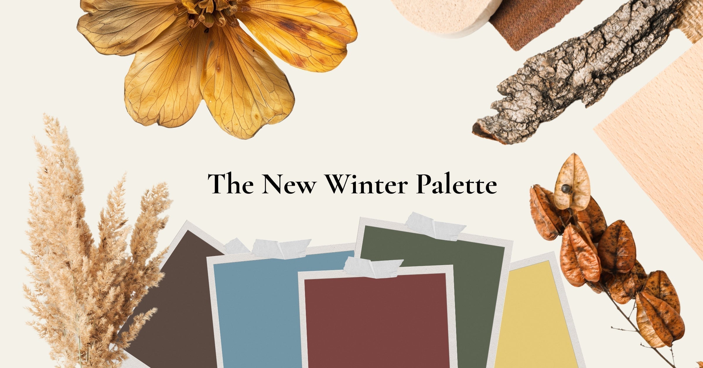 The New Winter Palette mood board featuring cocoa brown, smoky blue, burgundy, olive green and warm gold colour swatches with natural textures, dried botanicals and warm winter styling.