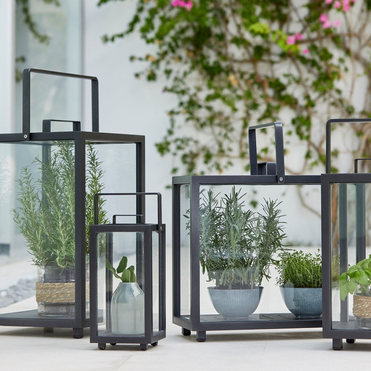 Black metal lanterns with plants (5724AL_4)