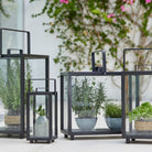 Black metal lanterns with herbs