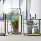 5726TAL_2 Decorative Lanterns with Plants