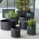 Modern planters with plants.