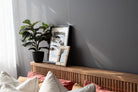 Plant and framed art on wooden shelf