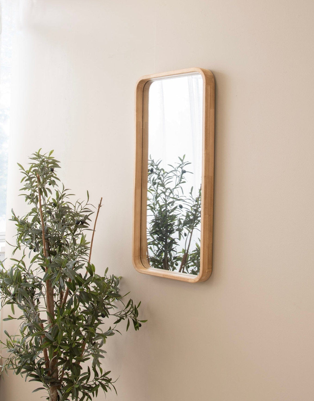 Wooden framed mirror with plant reflection - DSC_3177