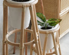 Rattan plant stand with white pots