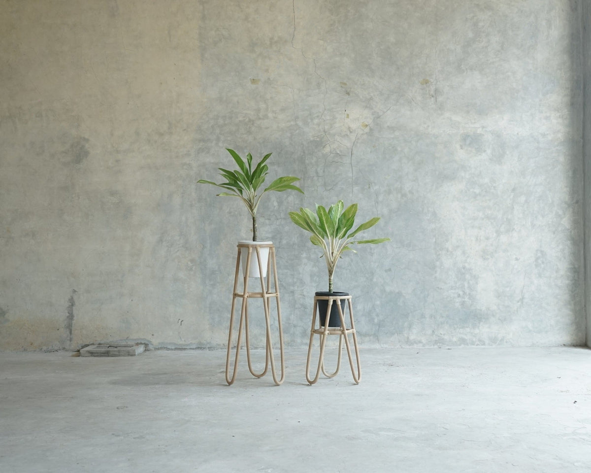 Two plants in decorative stands against concrete wall