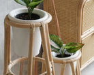 Rattan plant stands with potted plants