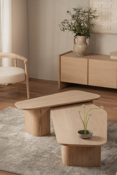 Loleta TV Unit