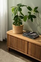 Wooden cabinet with plant and books