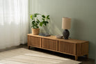 Wooden KKP17O_4 TV stand with lamp, plant, and accessories.