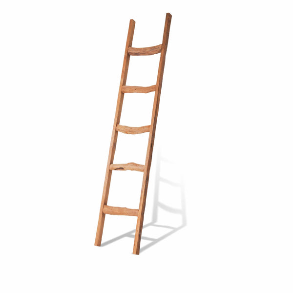 TF017_2 Decorative Wooden Ladder