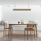 Grasshopper table with chairs and overhead light