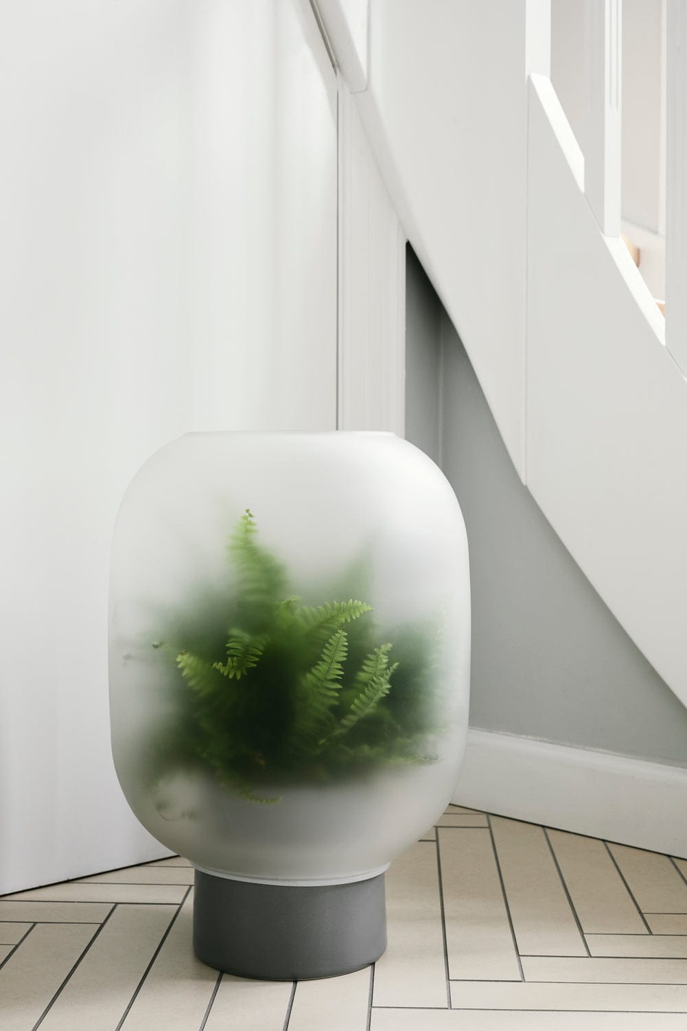 Fern plant inside a frosted glass terrarium.