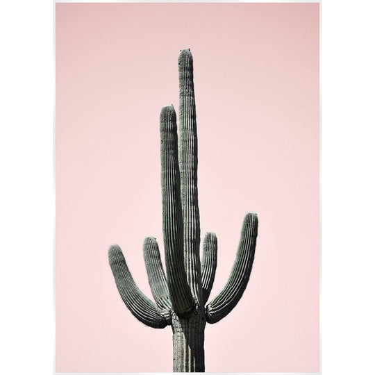 Saguaro Pink Cactus Canvas Print Artwork-Artwork-SLH-Pink-SLH AU