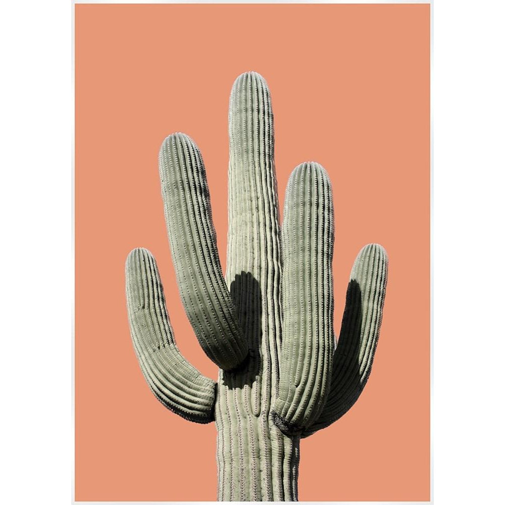 Saguaro Terracotta Cactus Canvus Print Artwork-Artwork-SLH-Orange-SLH AU