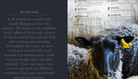 We love wool, exploring wool types.